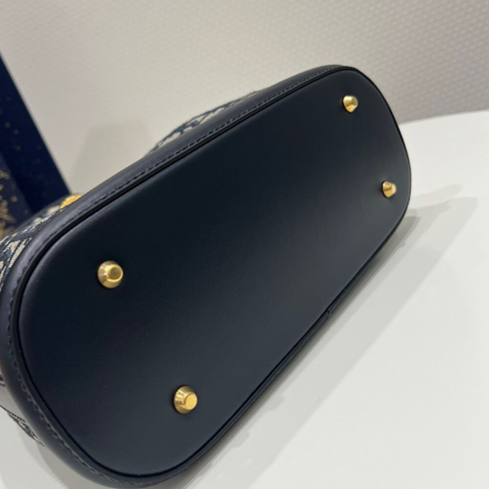 medium c’est D*or bag